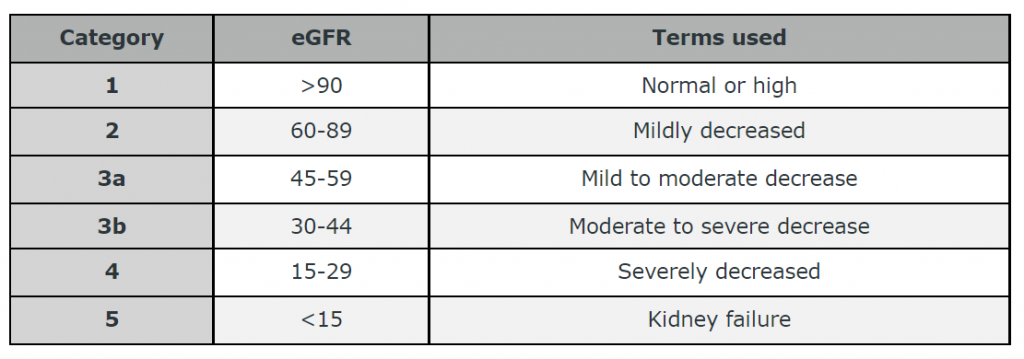 Useful Info On Kidney Disease 